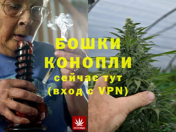 гидра Бородино