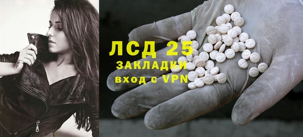 гидра Бородино
