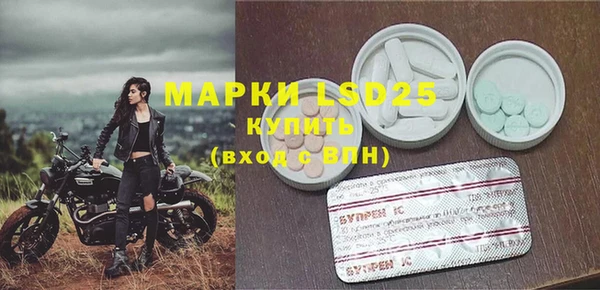 гидра Бородино