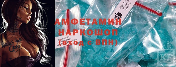 гидра Бородино