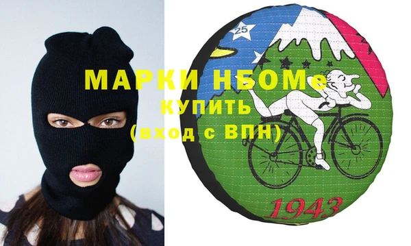 гидра Бородино