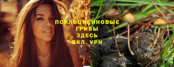 МДМА Бугульма