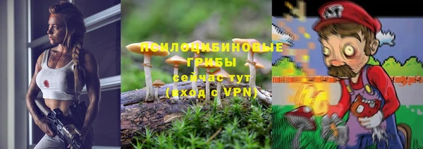 гидра Бородино