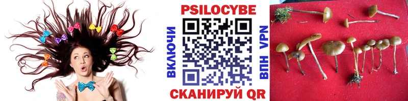 Псилоцибиновые грибы Magic Shrooms  blacksprut зеркало  Ирбит 